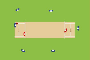 Visual representation of non-stop cricket game